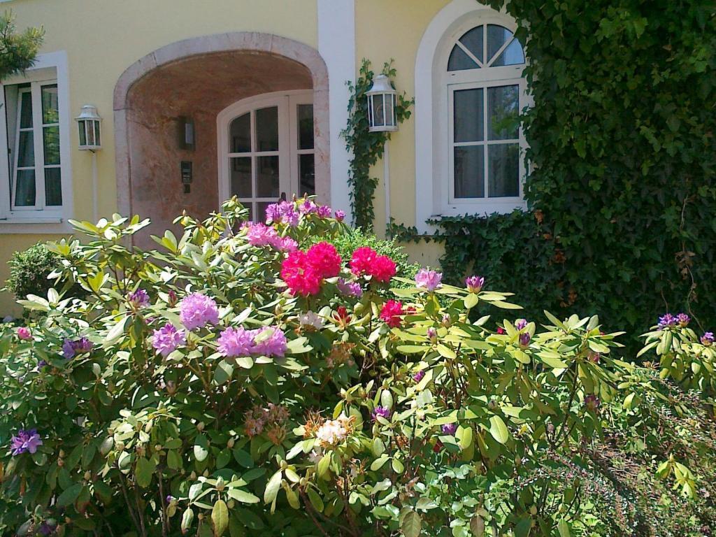 Gaestehaus Auerhahn Vöcklabruck Εξωτερικό φωτογραφία